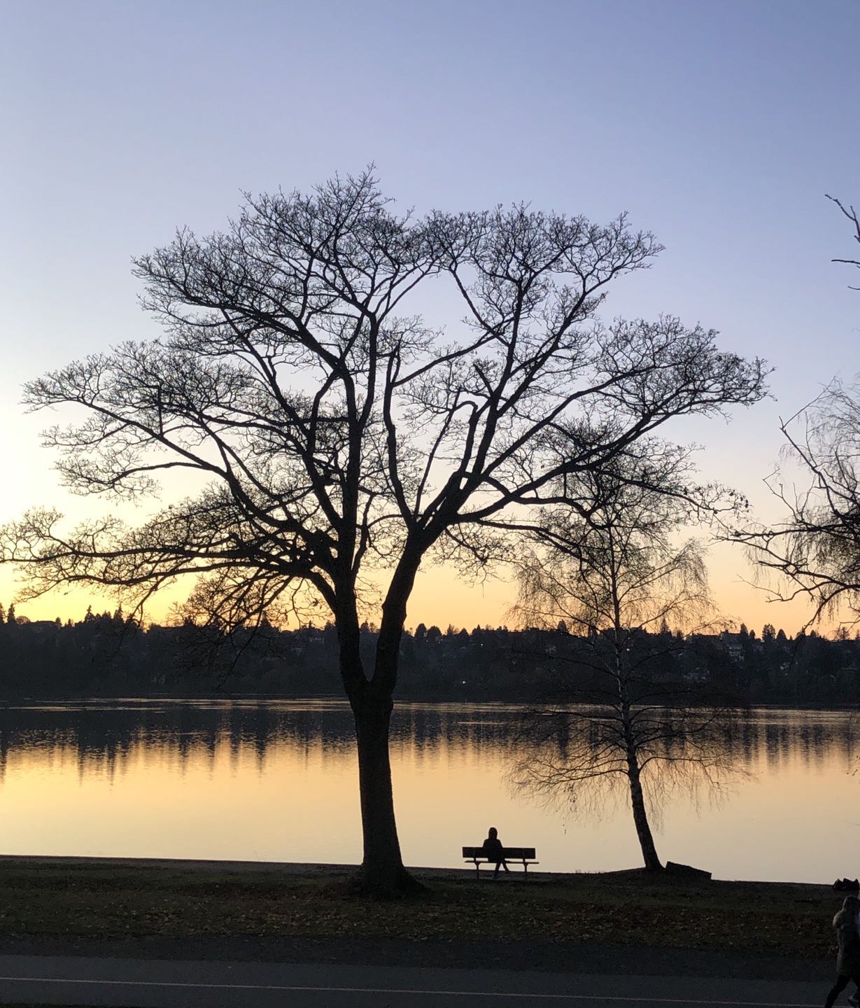 Early evening vibe close to home. 
-
-
#sunset #decembersunset #hellodecember #naplemente #greenlakeseattle #eveningvibes #estihangulat #myfavoritebench #seattle #reflections #lake #tavak #szépség #nature #naturephotography #természetfotó