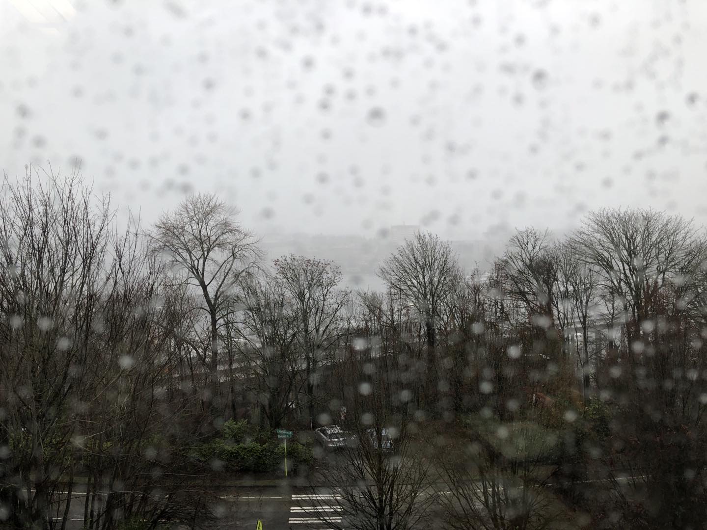 I never get tired of the view from my office
-
-
#seattle #rain #rainyseattle #januaryview #loveseattle #eső #esősnap #január #officeview #myseattlepictures🌿 #winterview #winter #grayday #szürkenap #rainyday #rainydayview #january #télinap #szürkeség