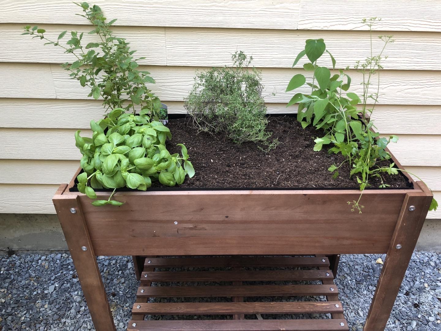 Our new raised bed for herbs 🪴 
-
-
#homeproject #skilledhusband #raisedbeds #herbgarden #herbs #magaságyás #fűszerek #myseattlepictures🌿#raisedbedkit #raisedbedkitchengarden #konyhakert #kertészkedés #gardening