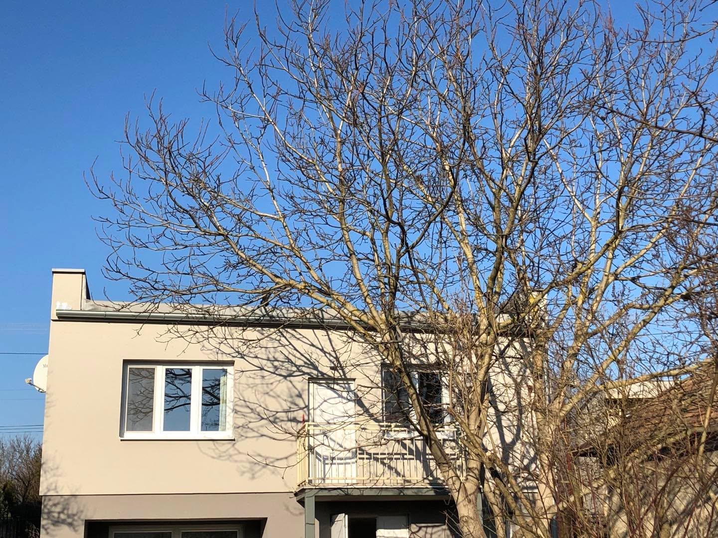 Happy new year! 
-
-
#newyear #newyear2025 
#újév #újév2025 #happynewyear #boldogújévet #january #január #slovakia #szlovákia #treesofwinter #télifák #peaceful #calming #calmingscenery